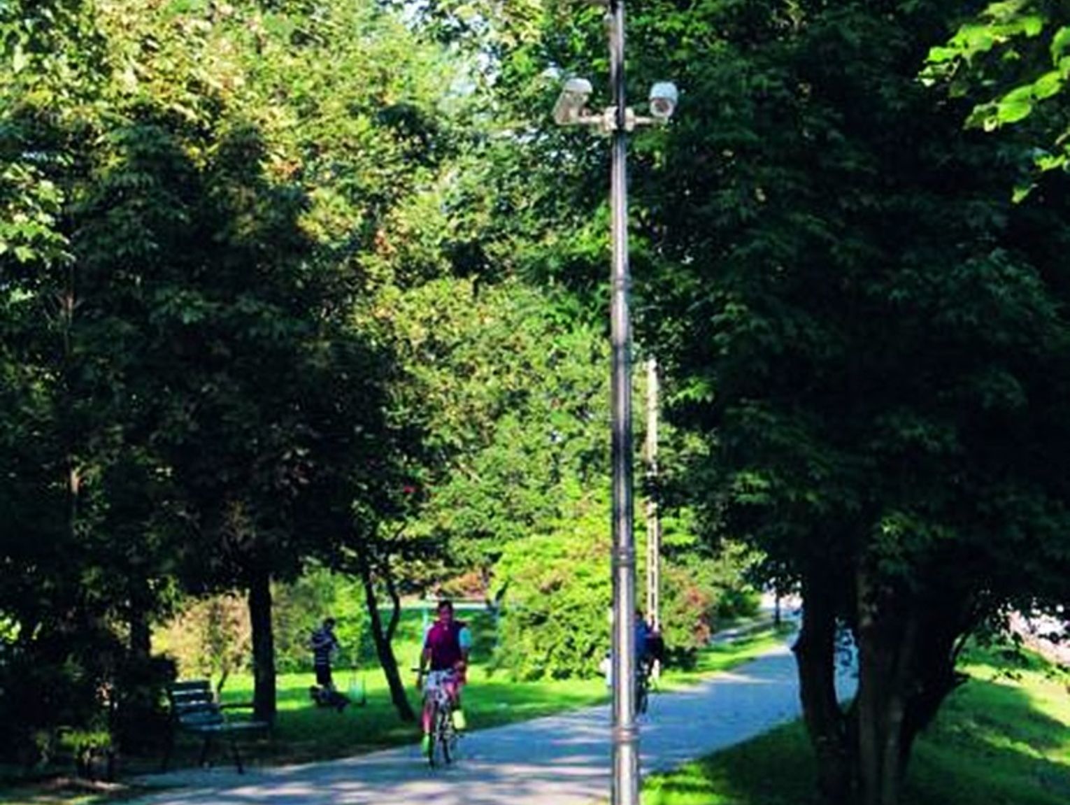 Radzy Podlaski Miasto Nie Rozstrzygn O Przetargu Na O Wietlenie