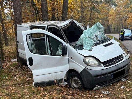 18-latek za kierownicą. Stracił panowanie nad autem