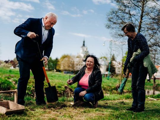 Sadzą 300 drzew na 300-lecie koronacji Matki Bożej Kodeńskiej