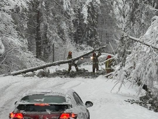 80 interwencji strażaków w powiecie zamojskim. Kierowcy byli im wdzięczni