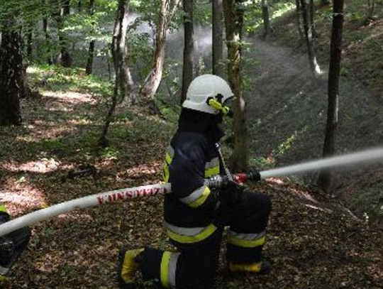 Zagrożenie pożarowe w lasach. Jest sucho, ale IMGW już zapowiada ulewy