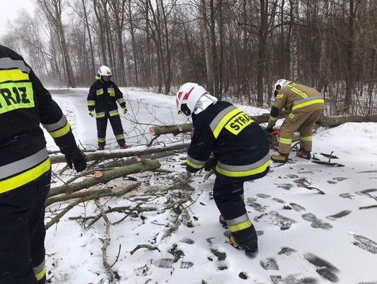 Atak zimy. Powalone drzewa, nieprzejezdne drogi i brak prądu