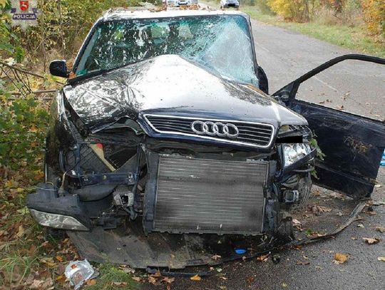 Audi uderzyło w drzewo. Dwie osoby w szpitalu
