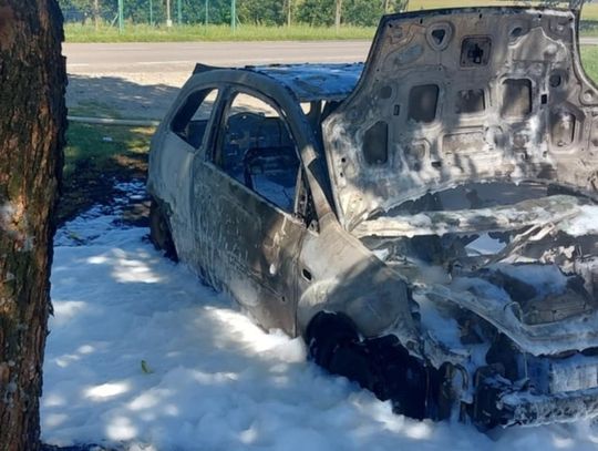 Auto stanęło w ogniu. Płomienie zajęły też przydrożne pole [ZDJĘCIA]