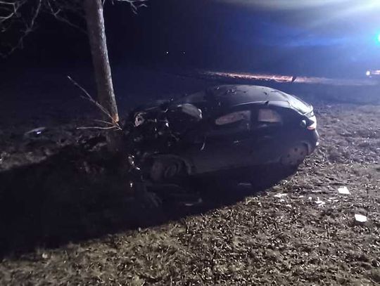 Auto uderzyło w drzewo. 2 osoby trafiły do szpitala