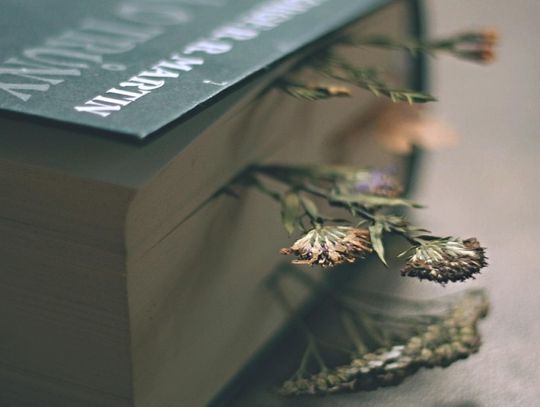 Będą czytać dzieła Jana Kochanowskiego