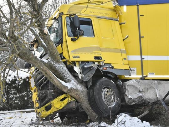 Biała Podlaska. Ciężarówka uderzyła w drzewo
