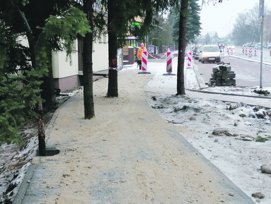 Biała Podlaska: Drzewa na środku chodnika. Jak wybrnąć z inwestycyjnej wtopy?