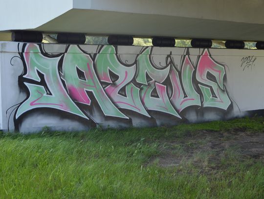 Biała Podlaska. Graficiarze złapani na gorącym uczynku [WIDEO, ZDJĘCIA]