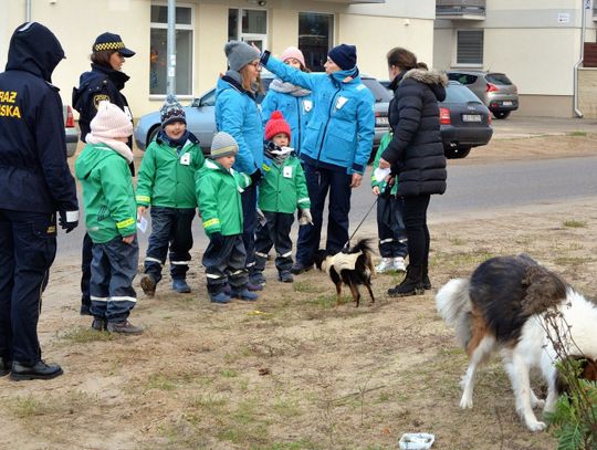 Biała Podlaska: Kochają psiaki, nienawidzą kupaki!