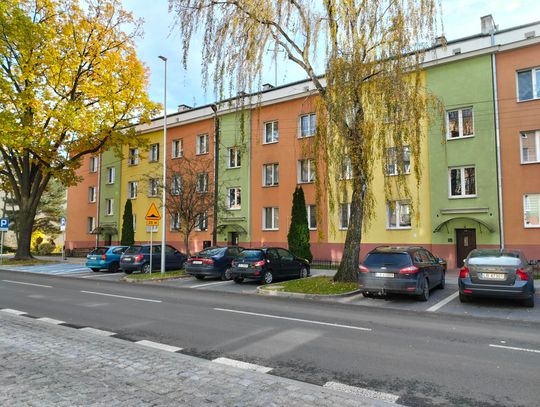 BIAŁA PODLASKA: Mieszkańcowi przeszkadza drzewo. Miasto planuje cięcia korekcyjne