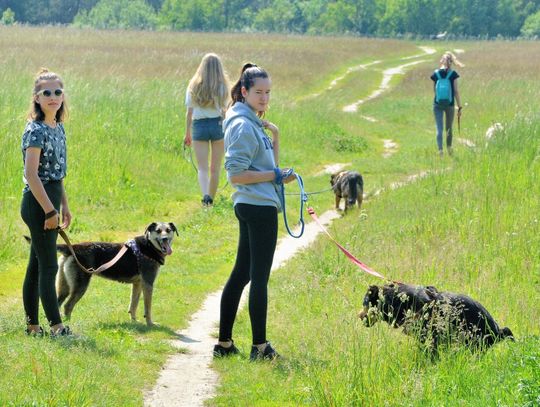 Biała Podlaska: Mieszkańcy zadecydują, jak podzielić 1,6 mln zł