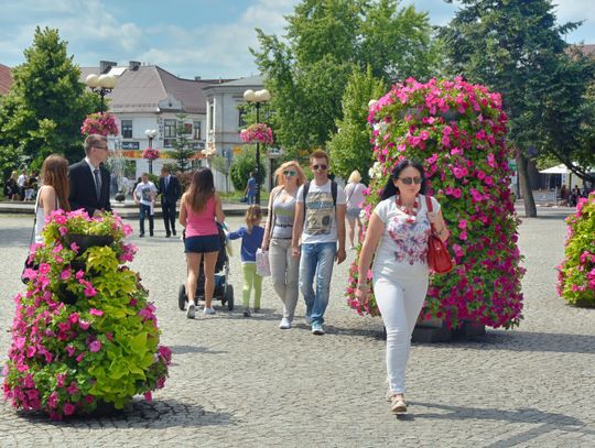 Biała Podlaska nie jest już 60-tysięcznym miastem. Te liczby zaskakują