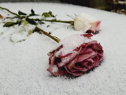 nekrologi pogrzeb śnieg róża biała podlaska międzyrzec podlaski