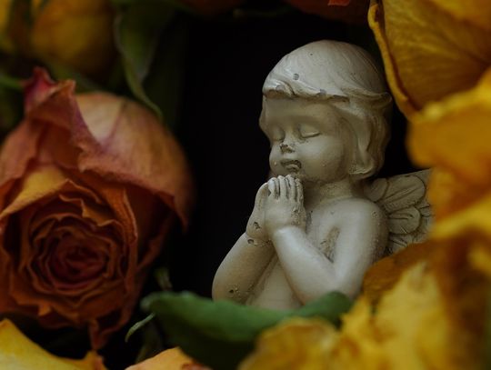 Biała Podlaska. Odeszli do wieczności [06-07-2025]