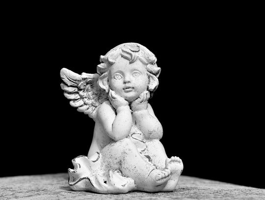 Biała Podlaska. Odeszli do wieczności [21-07-2025]