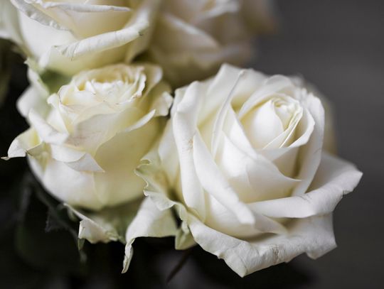 Biała Podlaska. Odeszli do wieczności [30-11-2025]