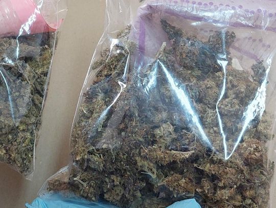 Biała Podlaska. Ponad 400 porcji marihuany w mieszkaniu. Policja uderza w narkobiznes