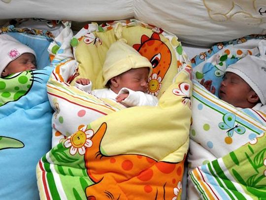 Biała Podlaska: Potrójna radość