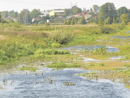 Biała Podlaska: Przedsiębiorcy interweniują w Wodach Polskich