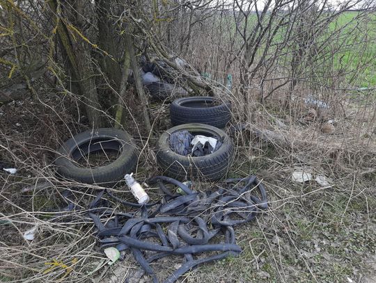 Biała Podlaska. Śmieciowy poligon na Kolonii Francuskiej [ZDJĘCIA]