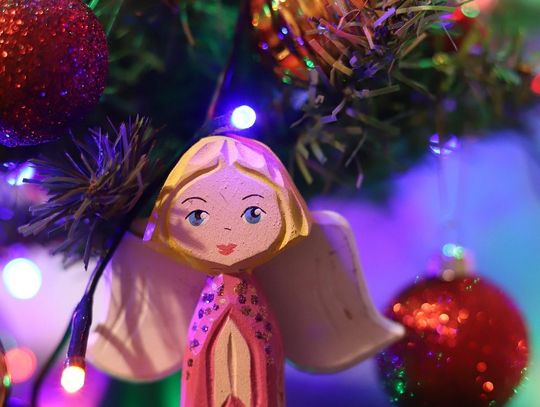 choinka, akcja strażaków, Biała Podlaska