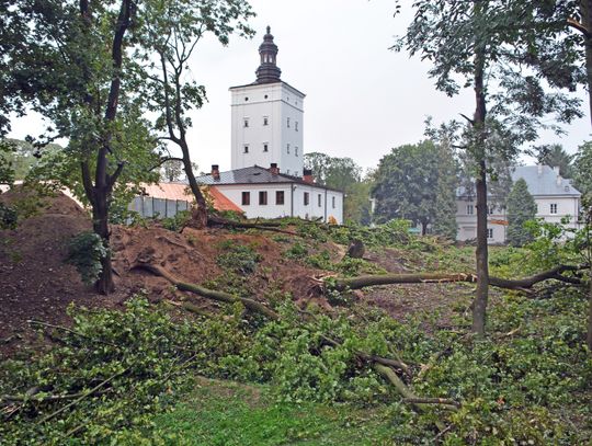 Biała Podlaska: W parku mniej zieleni, miasto wycina drzewa