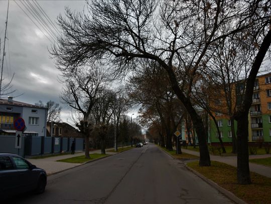 Biała Podlaska: Zagrażają nam suche konary