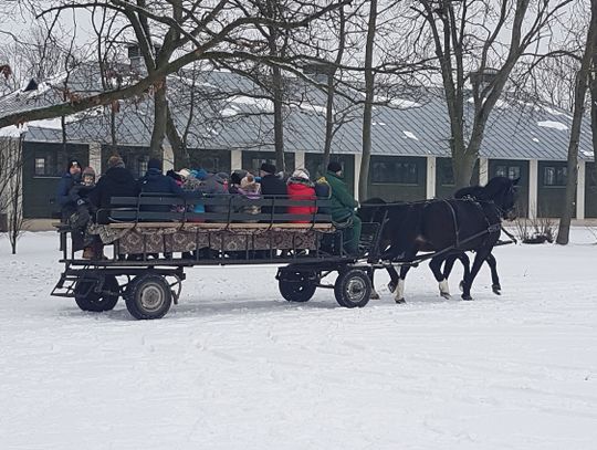 Biała Podlaska: Zawodowe rodziny zastępcze dostaną więcej