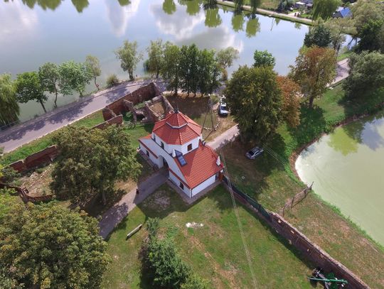 GMINA CZEMIERNIKI: Topola mogła pamiętać Firlejów. Niszczą ją bobry GMINA CZEMIERNIKI: Topola mogła pamiętać Firlejów. Niszczą ją bobry