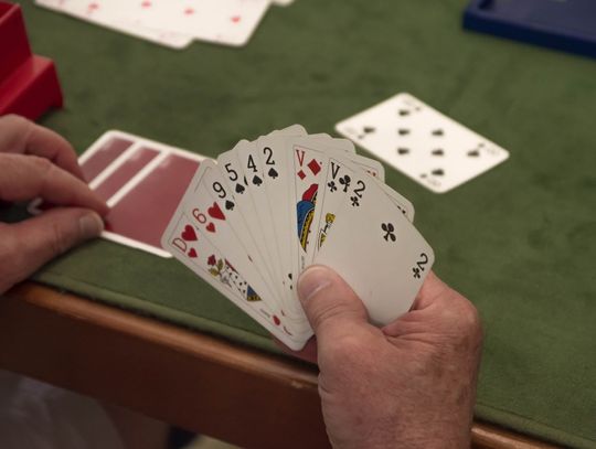 Brydż w Makulaturze