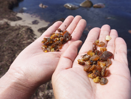 Plażowiczów zastąpili poszukiwacze [FILM]