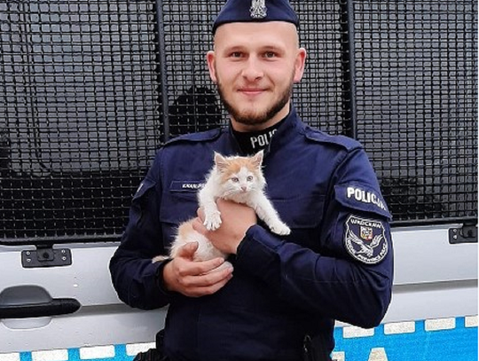 Był wychudzony i przemoczony. Policjanci ruszyli na ratunek