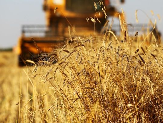 Chcą wesprzeć rolników w wypełnianiu wniosków o dopłaty
