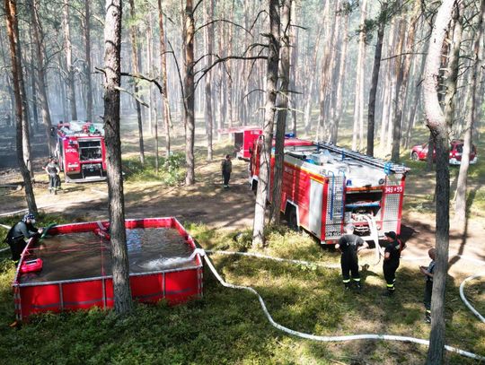 Curyn. Spaliły się ponad 3 ha lasu. Jeden ze strażaków uległ wypadkowi