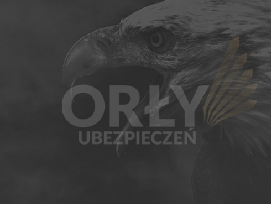 Czy agentowi ubezpieczeniowemu potrzebny jest plebiscyt Orły Ubezpieczeń?