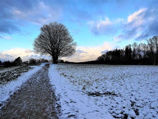 Deszcz ze śniegiem. Sprawdź pogodę na środę
