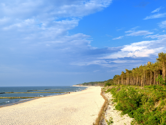 Dlaczego apartamenty w Rowach są idealne na jesienny odpoczynek?