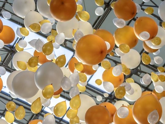 Dlaczego warto zdecydować się na korzystanie z usług agencji eventowej?