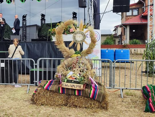 Dożynki w Starej Kornicy. Wybrali najpiękniejsze wieńce i stoiska [WYNIKI]