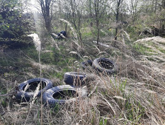 kolonia francuska dzikie wysypisko śmieci biała podlaska opony