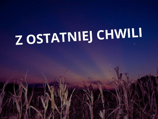 Eksplozja na Lubelszczyźnie. Niezidentyfikowany obiekt spadł na pole w pobliżu Łukowa