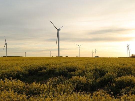 Farmy wiatrowe napędzają regionalną gospodarkę