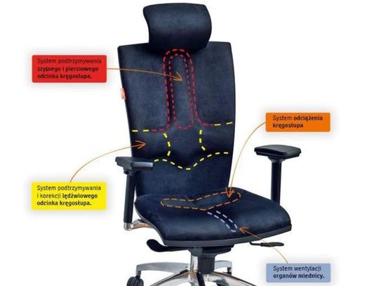 Fotel ergonomiczny – wybierz dobrze i siedź zdrowo!