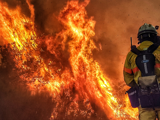 Gigantyczna kara za wypalanie traw