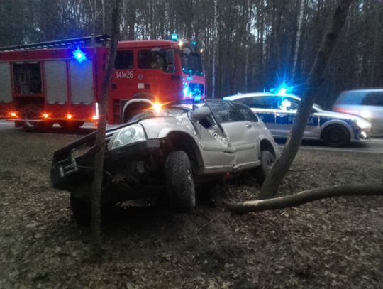 Gmina Biała Podlaska: Auto wylądowało na drzewie