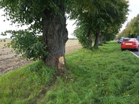 Gmina Biała Podlaska: Zjechała do rowu i uderzyła w drzewo