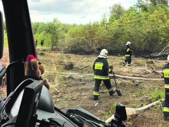 Gmina Drelów: Gasili pożar cztery godziny