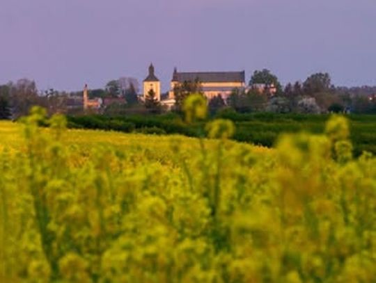 Gmina Janów Podlaski. Weź udział w konkursie fotograficznym