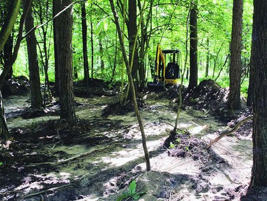 Gmina Kąkolewnica: Mordy w lesie Baran wciąż nieodkryte